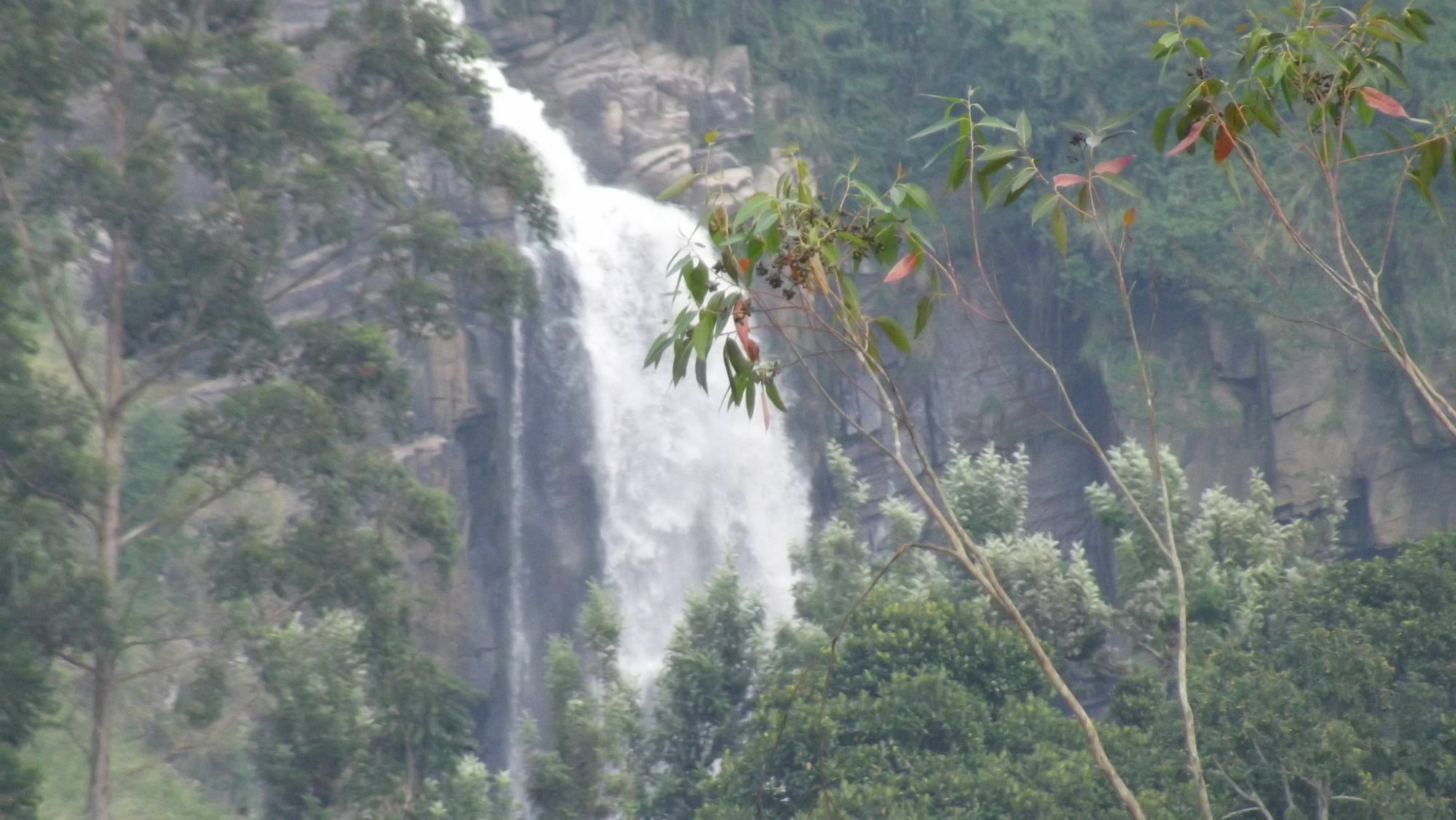 The Waterfall Villas Talawakele Esterno foto